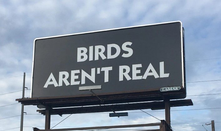 Birds Arent Real